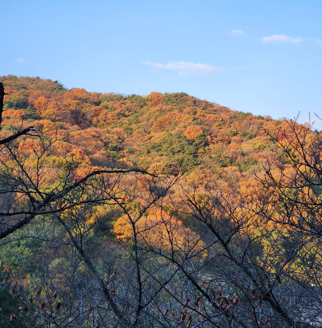 20251119_075412 q.jpg