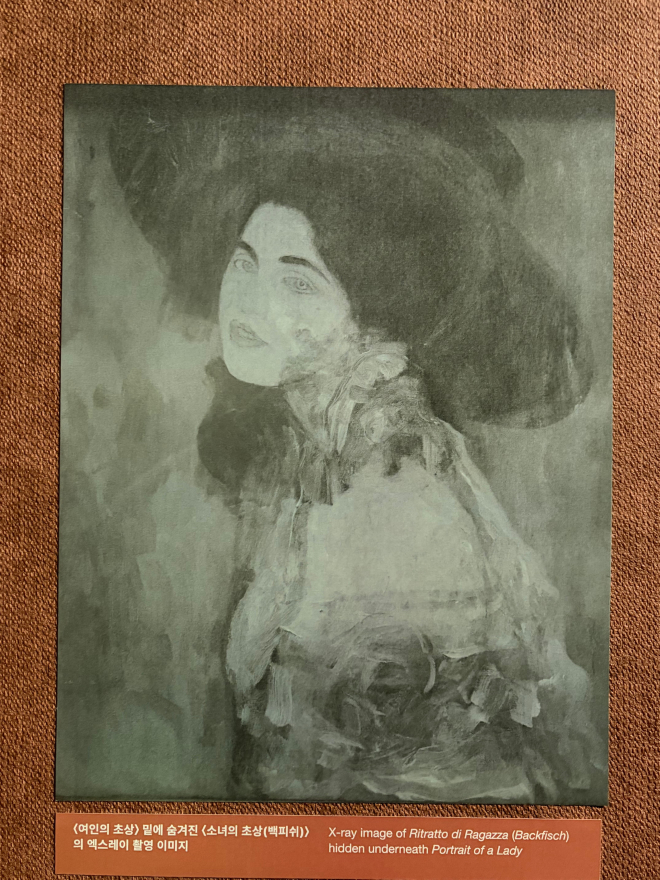 클림트 엑스레이.jpg